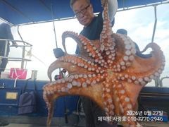 [진해] "돌문어" 6kg 1800g1400kg등 개인17수15수13수1…