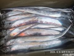 [거제] 텐야 텐빈 !!!! 점점 날씨가 풀리기 시작하네요!!!