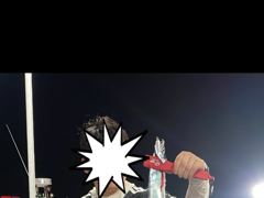 갈치