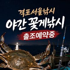 8월26일 즐거운 야간꽃게낚시 조황입니다.