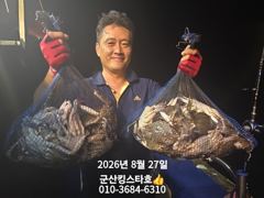 군산킹스타호(8/26~)야간꽃게낚시 마무리조황 (8/28야간꽃게출조합니다.예약가능)