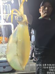 무늬오징어 팁런 내일 금요일  거제권 출동 예약가능 