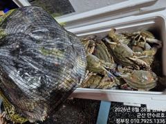 ★★만수르호★★ 꽃게 야간 대박조황!!(8/27)