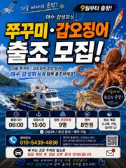 9월1일 쭈꾸미갑오징어출조합니다