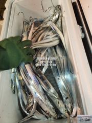 [마산] 내만갈치)갈치가 요기 다있었구나?!포획성공~예약중