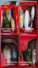 욕지권 팀런 오붓한 출조