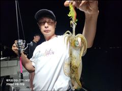 [마산] "해적" 내만 무늬 팁런 (8/26) 조황! 28일 오늘 자리 …