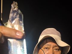 [여수,광양] (은별호) 8/28. 내만갈치 자리여유있습니다