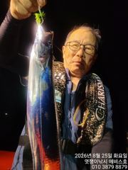 은빛 대 갈치들 씨알급  일요일 부터 가능