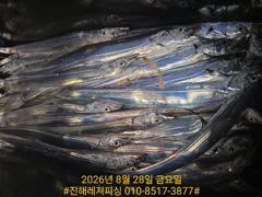 내만칼치ㅡ 초저녁부터 피딩에 손맛가득 쿨러빵빵(오늘 예약가능)