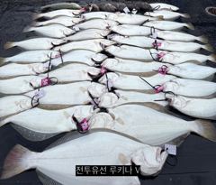 << 팀 인천 루키나 >> 08. 28. 7물 << 루키나 V 생새우 외수질 다잡아 이벤트 >>