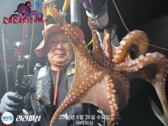 (야간문어) 토요안 주간.야간.정상출항합니다