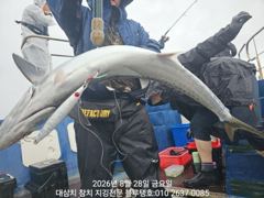 [경주] 28/금, 오후타임 대삼치들 낚시 중간 현재상황!