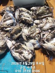 ☆ 8월 28일  야간 꽃게 최종 조항 ☆