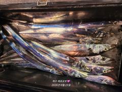 8월 28일 배프로 갈치텐빈