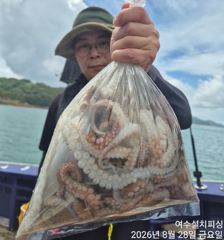 8월28일 여수문어낚시조황