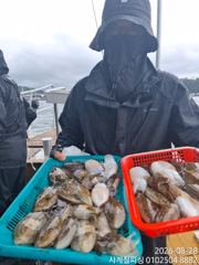 갑오징어  .손피싱 애기 퍽퍽 