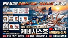 [문어맛집] 내일(일) 야간문어 예약가능 조황 굿