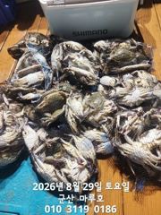 8월 28일  마루호 야간꽃게  최종 조항