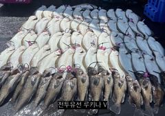 << 팀 인천 루키나 >> 08. 29. 8물 << 루키나 V 생새우 외수질 다잡아 이벤트 >>