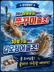 오늘의 조황 - 9월1일부터!쭈꾸미출조합니다! 만쿨만쿨! - 군산 탑피싱,배낚시,바다낚시