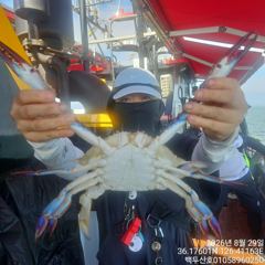 8월29일 홍원항 백두산호 꽃게 조황입니다..