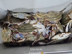 군산킹스타호(8/29)야간꽃게낚시 마무리조황 (8/30출조합니다.예약가능)