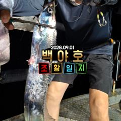 8.29 제주백야호 선상 한치.갈치 조황