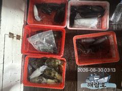 8월29일 무늬오징어 팁런조과입니다.