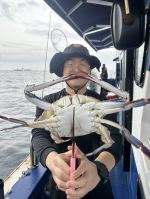 8.29