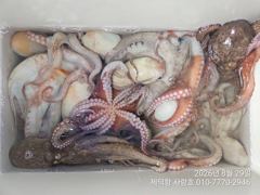 [진해] "여밭돌문어"1200g1000g1000g외 137수 와장창~15…