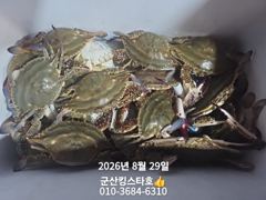 8/30야간꽃게낚시출조합니다(군산킹스타호에서)8/29야간꽃게마무리