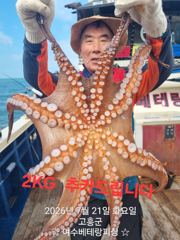 돌문어 출조 모집중  수요일(2일)~7일(월)   쭈꾸미전투 출조  토요일(5일) 금어기 해제   모집중입니다    황금물때 시작   망태기가득 채우러 가실분들 미리미리 연락주세요 