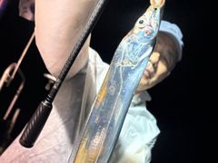 [내만갈치]점점 굵어지고 마리수도엄청!!오늘 예약가능