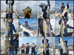 출조안내 - [준내만갈치]씨알급만쿨도전~!! 오늘자리널널!! 정상출항확정!! 쿨러채울때까지 철수없습니다~ㅎㅎ