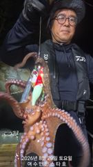[ 여수만진스타호 ] 여수 돌문어 사릿때지만 나와줍니다~!! 오늘 밤 집결 5자리여유~~8만