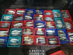 1
					
				
																[통영] 무늬 팁런조황~ 오늘 17시출항									1