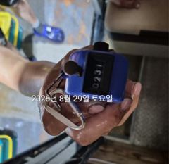 [진해] 팁런무늬!!다시세자리!!내일(월)예약가능!!