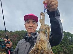 [진해] 무늬는 키로로 쭉~쭉, 돌문어는 쑥~쑥 예약가능