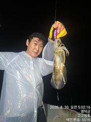8월30일 팁런 조황