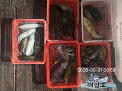 8월30일 무늬오징어 팁런조과입니다.