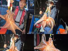30일 조항.오늘도 계속해서 야간~돌문어 마리수 잡으러 go~go @ 오늘~몇 자리 예약가능