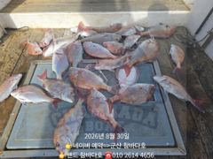 30일 3분 30개 정도