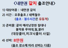 [진해] 31일,내만갈치 엄청 잡고 입갑이 모자라 조기철수.내일출항(예약…