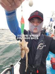 9/1일, 방가운 군산쭈꾸미 1호~~~나오고 있어요~~실시간~ 군산 챔피언호