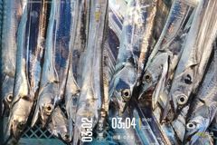 통영 수 은 호<<>>먼바다 갈치 조황입니다 오늘 2자리여유~ 예약하실때 자리 선택하세요~예약은 3361 4231 전화주세요
