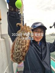 2026년 9월 1일 방가운 쭈꾸미~~올해도 굿굿~~~실시간  군산 1호 쭈꾸미가 낚였습니다~ 갑돌이도 같이 낚이고 있네요~군산 나드리호