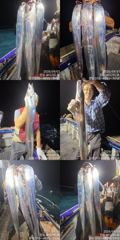 [ 진도보디가드호 ] #심선장 #왕갈치조황입니다. << 오늘 자리여유 많이 있습니다,. >>