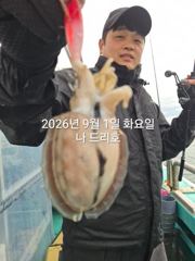 9/1일, 첫 시작~쭈꾸미 밭에 갑돌이도 보이네요~나오고 있어요~실시간~군산 나드리호~