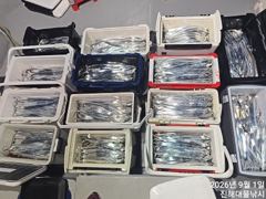 1일새벽,내만칼치 3지급까지 입질퍽퍽 엄청나게 버글버글~목,금욜 예약가능~